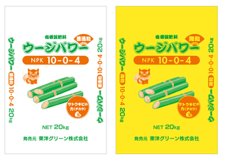 Power_of_Power出品 実生株 ト7595 「実生株」オペルクリカリア パキプス 5年株【種から発芽！・発